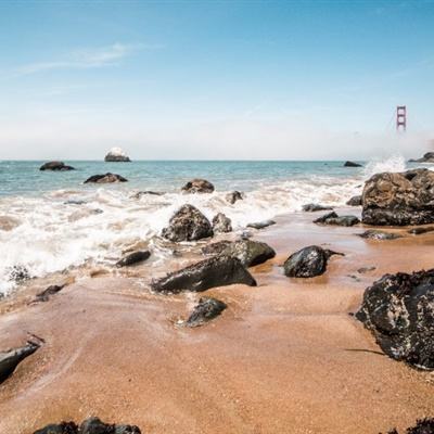 刘晓庆外甥方声明